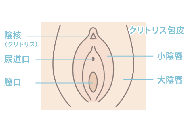 部位の名称 イラスト